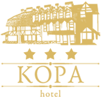 Kopa